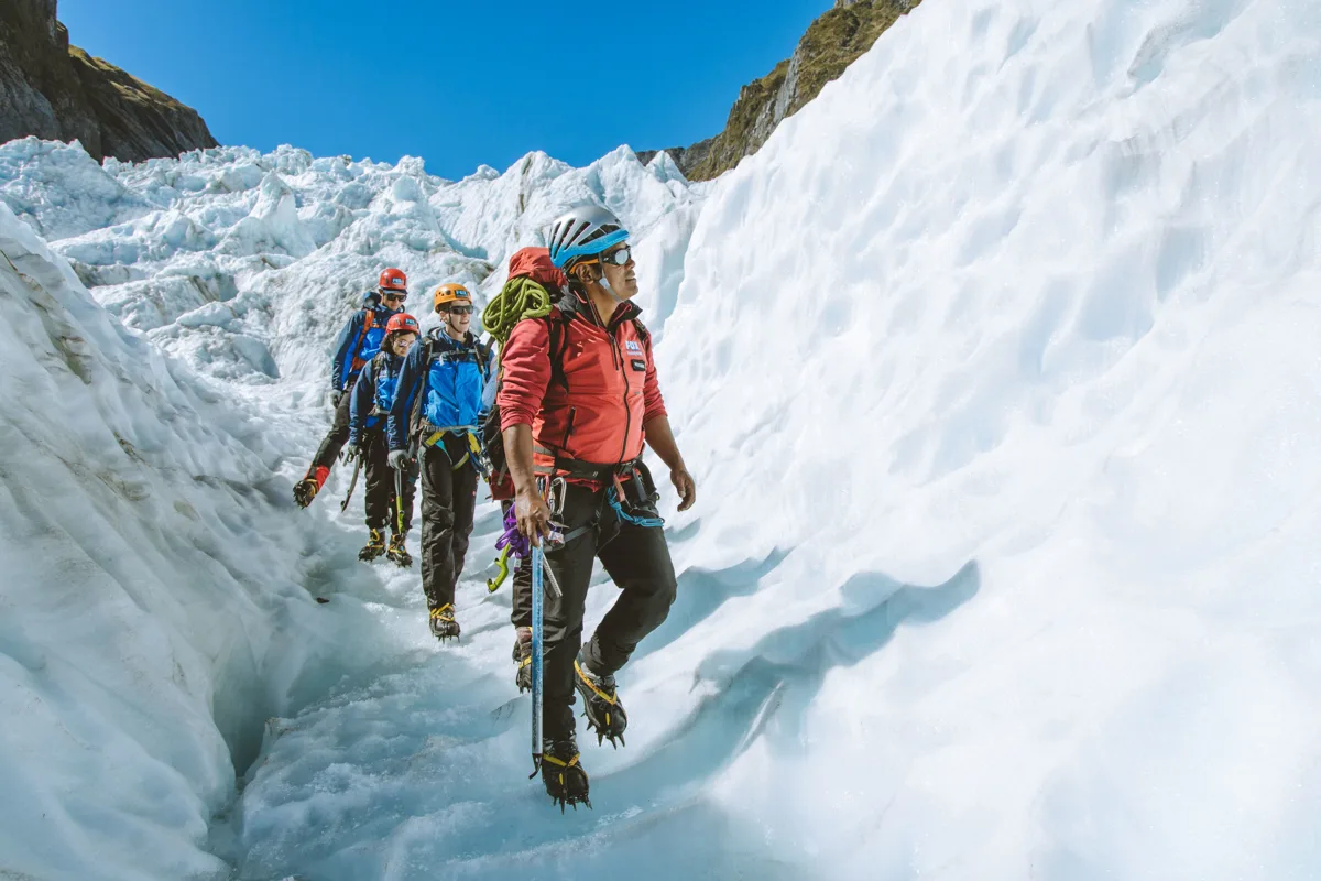 Fox Glacier · 實景